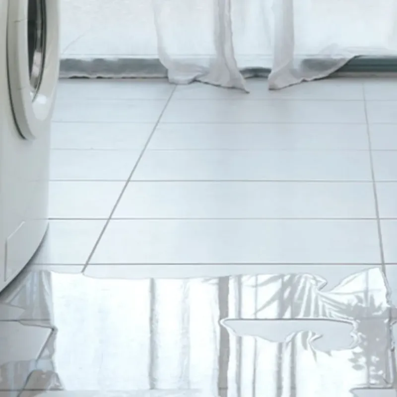 Appliance Leak Cleanup in New Bremen, OH