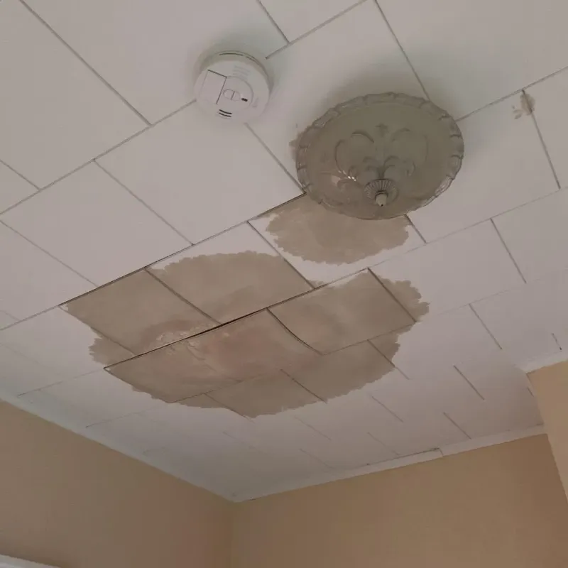 Ceiling Water Damage Repair in New Bremen, OH
