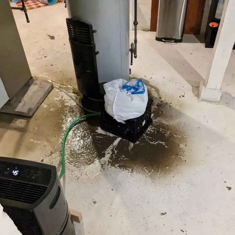 Sewage Backup Cleanup Service in New Bremen, OH
